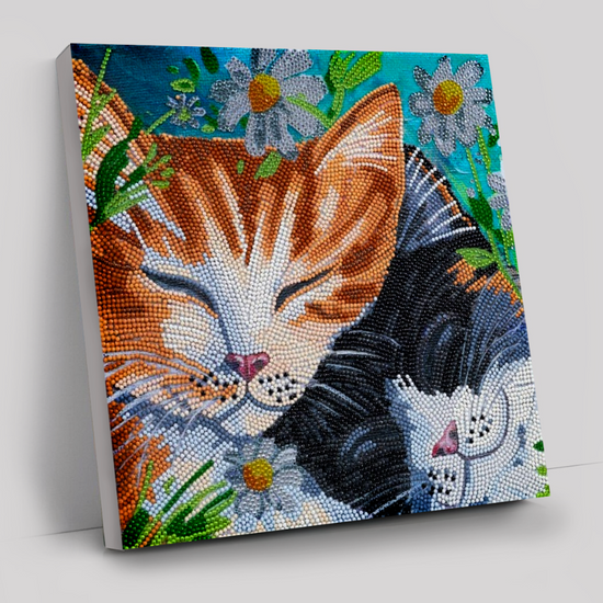 CAK-A170M: "Sleepy Cats" 30x30cm Crystal Art Kit