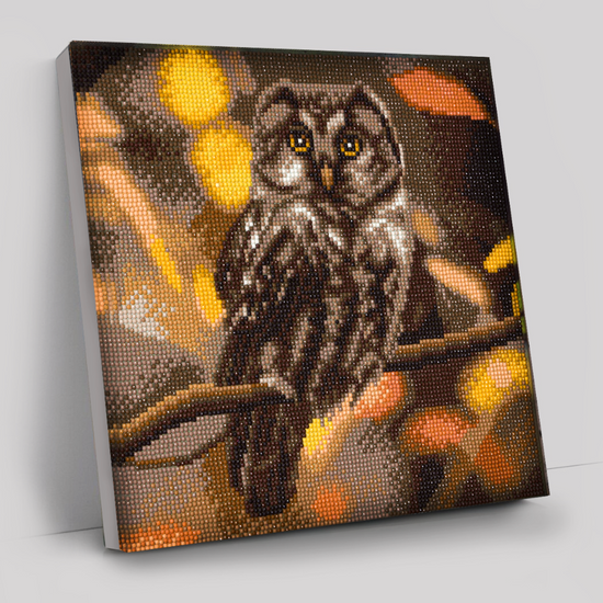 CAK-A97M "Tawny Owl" 30 x 30cm (Medium)