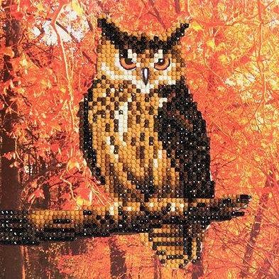 CCK-A10. "Autumn Owl" Crystal Card Kit