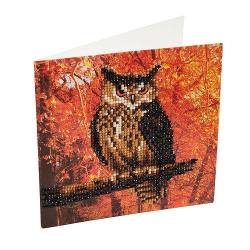 CCK-A10. "Autumn Owl" Crystal Card Kit