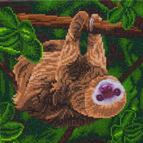 CAK-A143M: "Two Toed Sloth" 30x30cm Crystal Art Kit