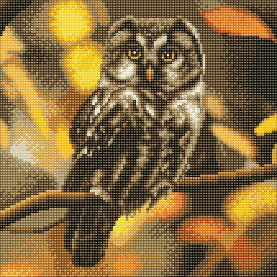 CAK-A97M "Tawny Owl" 30 x 30cm (Medium)