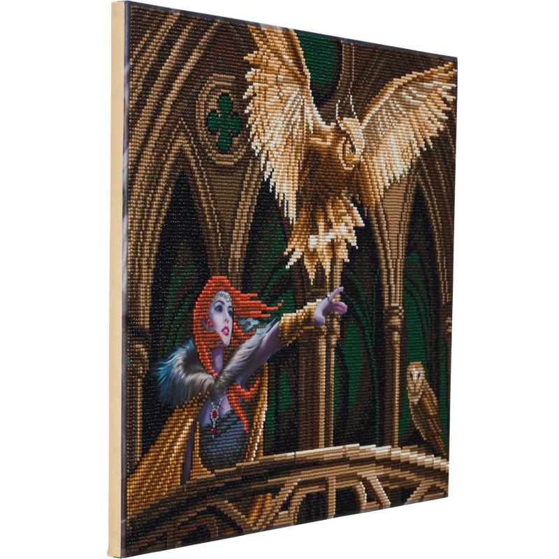 CAK-AST14: "Owl Messenger"" 40x50cm Crystal Art Kit  ANNE STOKES"