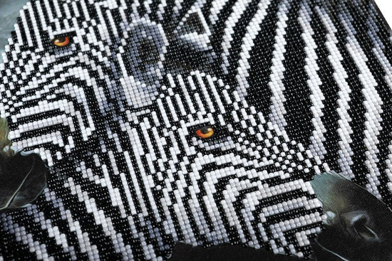 Zebra Hugs Zoomed View Done