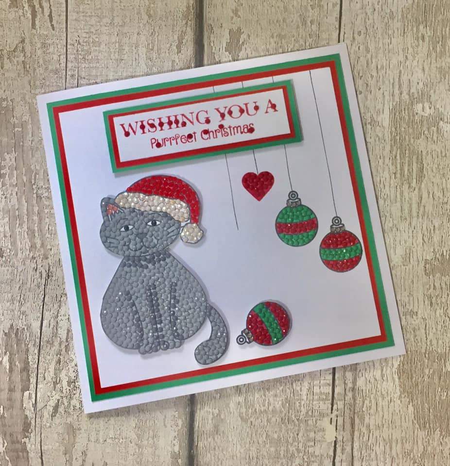 CCST15: Craft Buddy Festive Friends A5 Crystal Art Stamp Set