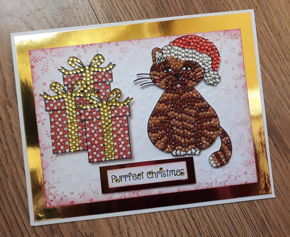 CCST15: Craft Buddy Festive Friends A5 Crystal Art Stamp Set