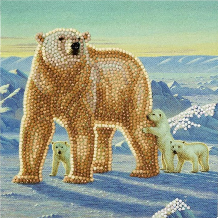 CCK-A15: "Polar Family" Crystal Card Kit