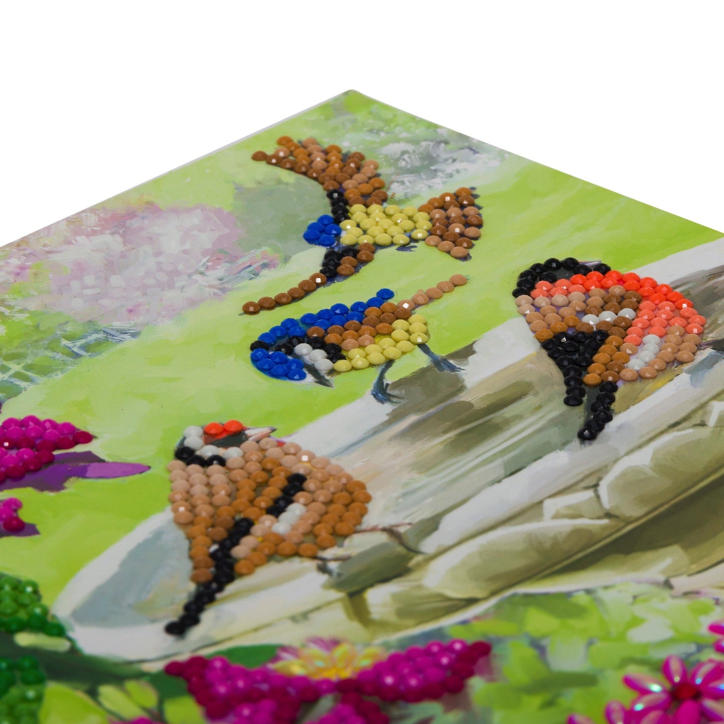 CCK-A50 "Birds" Crystal Art Card Kit