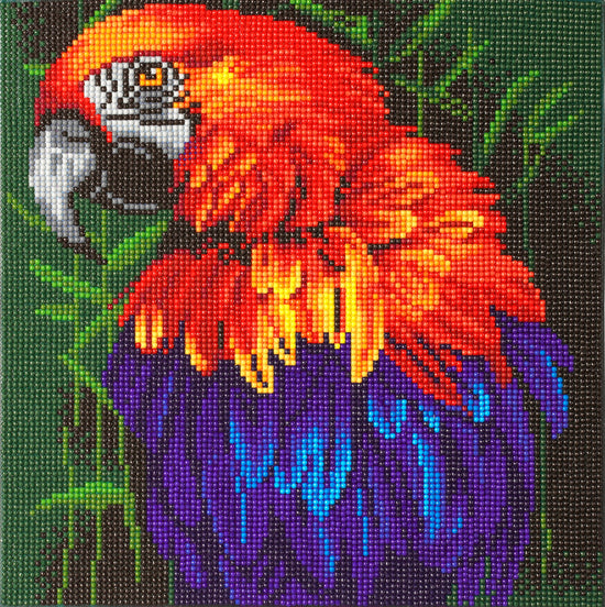 CAK-A85: "Tropical Bird" 30 x 30cm (Medium)