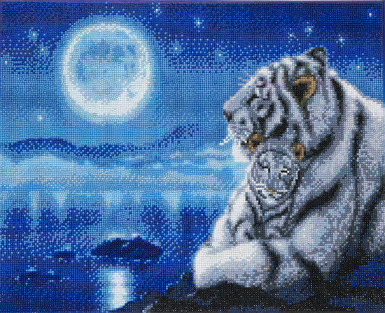 CAK-KN1:"Lullaby" White Tigers by Kentaro Nishino