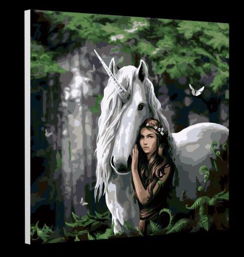 PBN5050E: "Forest Maiden" Craft Buddy 50cmx50cm Paint By Numb3rs Kit Anne Stokes