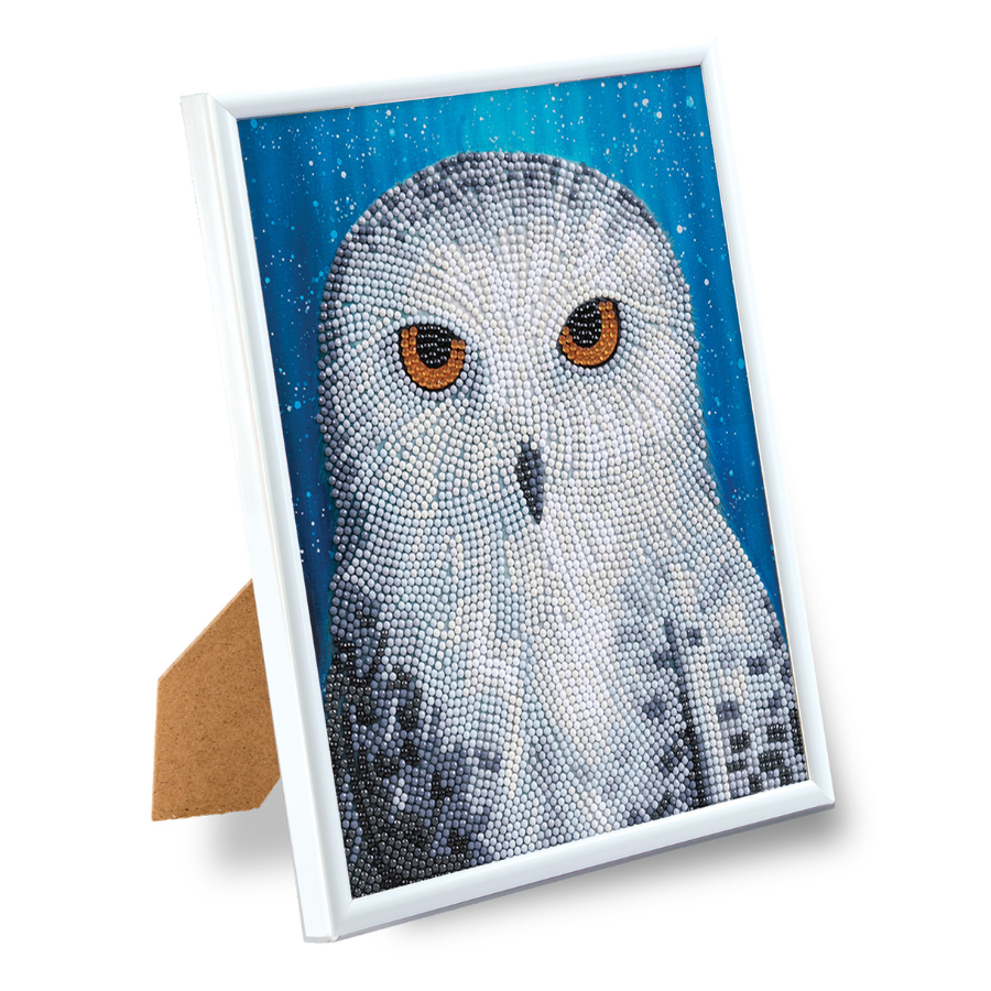 Snowy Owl By Night Picture Frame Crystam Art 21 x 25cm By Rachel Froud Framed